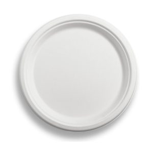 Bagasse Round Plates White 10  Tp4
