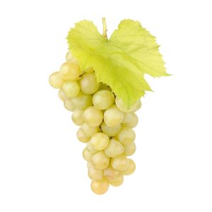 Veg Grapes White Seeded