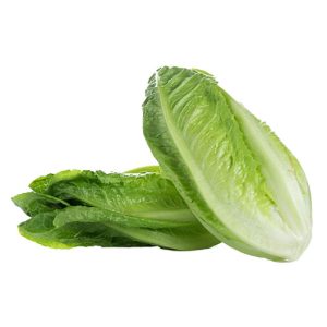 Veg Lettuce Cos