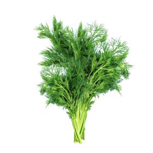 Veg Dill