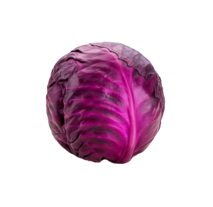 Veg Cabbage Red Small