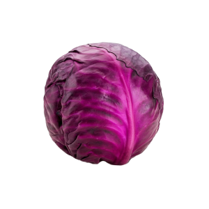 Veg Cabbage Red Small