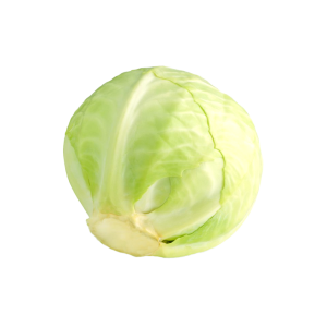 Veg Cabbage White Small