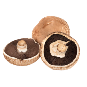 Veg Mushroom Portobella
