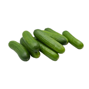 Veg Cucumber Mini
