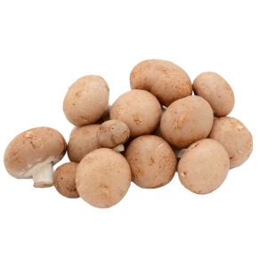 Veg Mushroom Chestnut